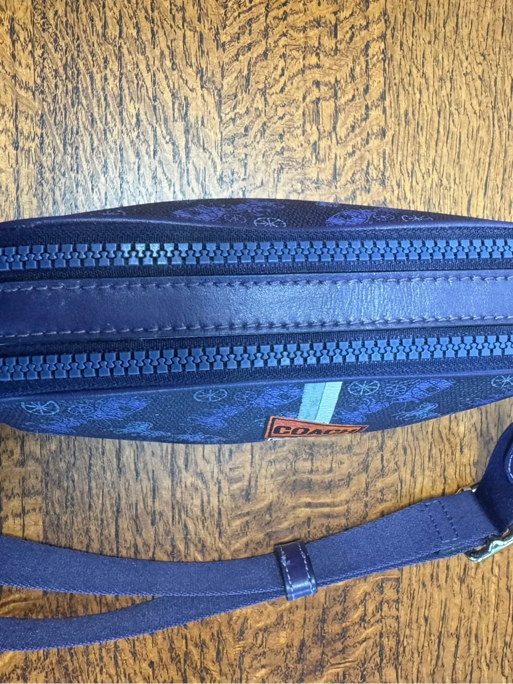 Coach Camera Crossbody Bag w/Horse & Carriage